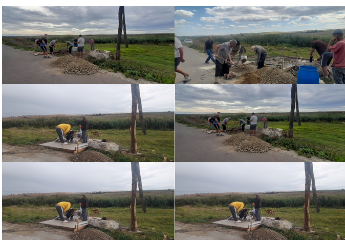 Mobilizarea comunității